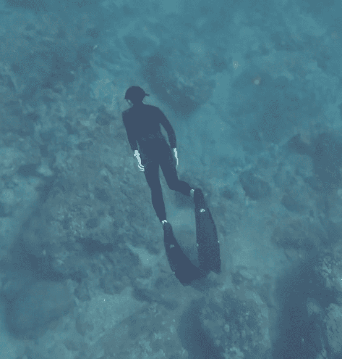 Diving